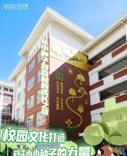 文峰区小颜巷小学环境