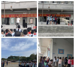海宴镇海宴小学环境