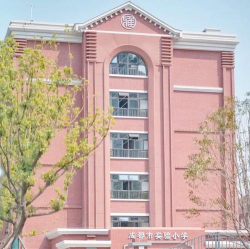 市实验小学环境