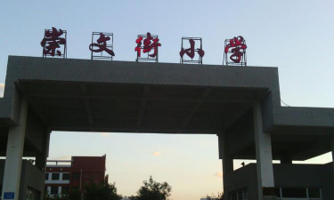 河北省枣强县大营中学环境