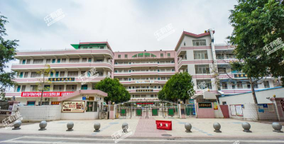 沙坪镇第四小学环境