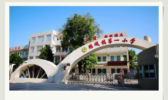 鹤城镇鹤城小学环境
