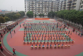 沙坪镇镇五小学环境