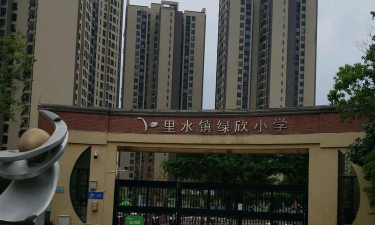 佛山市南海区里水镇绿欣小学环境