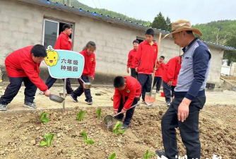 房县中坝乡中心小学环境