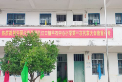平石街道办中心小学环境