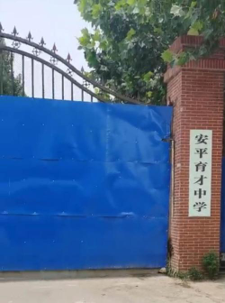 安平县育才中学环境