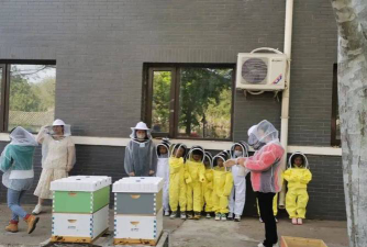仁寿县蜂蜜乡小蜜蜂幼儿园环境