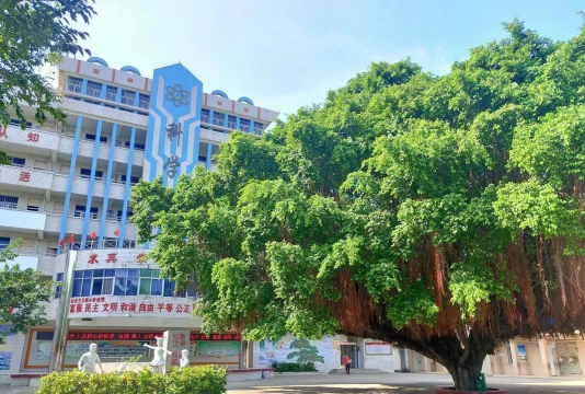 坡头镇中心小学校本部环境