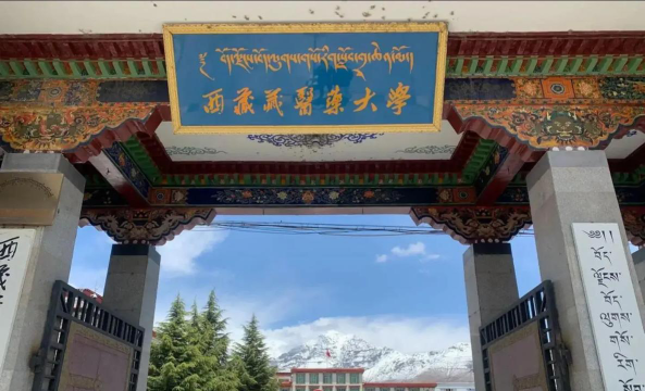 西藏藏医药大学环境