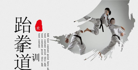 林西县非斯特跆拳道培训有限公司环境