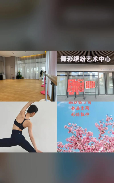 保定舞彩缤纷艺术培训学校有限公司