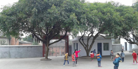 石盘小学