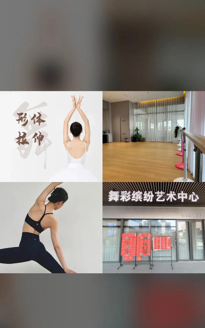 保定舞彩缤纷艺术培训学校有限公司