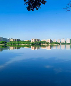 仰恩大学