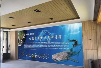 鱼儿艺术培训学校(天津)有限责任公司户外活动场地