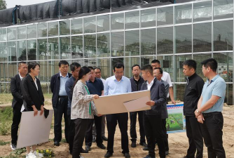 庆阳市西峰区新铭德学堂艺术培训学校有限公司户外活动场地