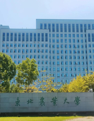 东北农业大学户外活动场地