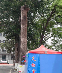 新北市立永平高级中学户外活动场地
