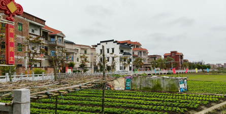 吴川市吴阳镇显发小学户外活动场地