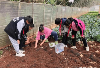 西山区团结谷律中心学校户外活动场地
