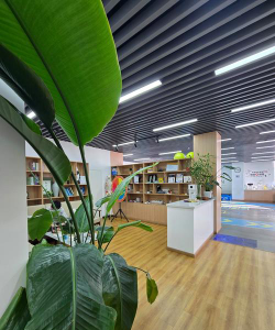 成都市华怡教育培训中心户外活动场地