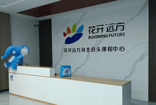 大石桥市远方文学教育培训中心有限公司户外活动场地