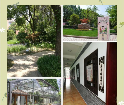 上海市铜川学校户外活动场地