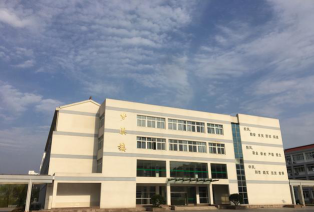 大港学校户外活动场地