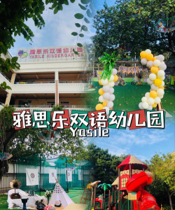 佛山市南海区大沥雅思乐双语幼儿园户外活动场地