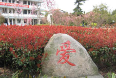 塘外中学户外活动场地