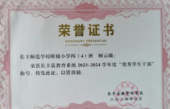 长丰县师范附属小学户外活动场地