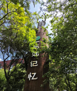 宁波市江北区宁镇路小学户外活动场地