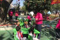 蓬江区培正幼儿园户外活动场地