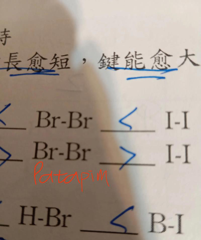 台北市立滨江国中户外活动场地