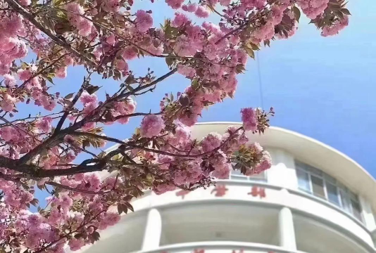 昭通华宇特色学校户外活动场地