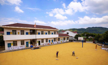 天台县泳溪乡中心小学户外活动场地