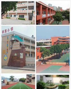 科发小学户外活动场地