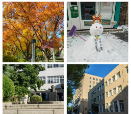 辽宁师范大学户外活动场地