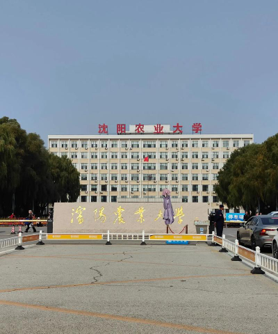 沈阳农业大学户外活动场地