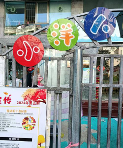 潮阳市灶浦镇前洋幼儿园户外活动场地