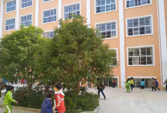 营前镇中心小学户外活动场地
