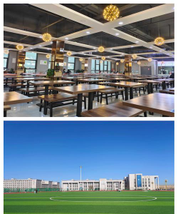 新疆农业大学户外活动场地