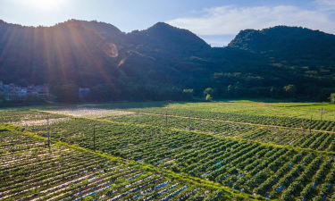 阳山县阳城镇鱼水片小学户外活动场地