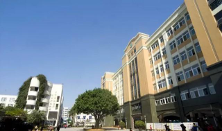 平阳县新纪元学校户外活动场地