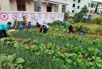 兴国县鼎龙中心小学户外活动场地