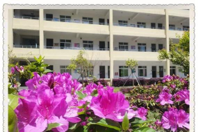 平阳县鳌江镇第六中学户外活动场地