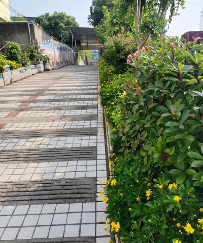 双辽市兴隆中学户外活动场地