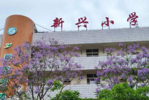 新兴小学不较详细户外活动场地