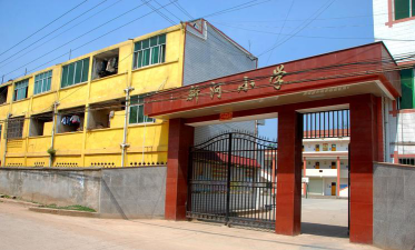 东山区新河小学户外活动场地